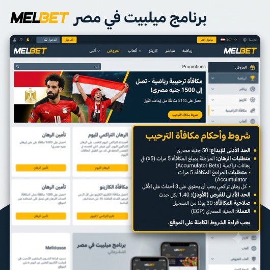 شروط وأحكام مكافآت برنامج ميلبت في مصر