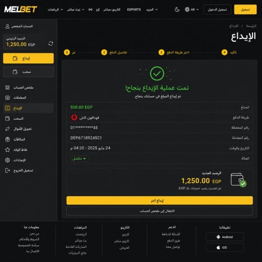 صورة لشاشة تأكيد الإيداع بالجنيه المصري، مع إخفاء رقم المحفظة، تظهر فيها رسالة نجاح العملية والرصيد الجديد.